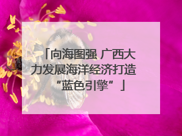向海图强 广西大力发展海洋经济打造“蓝色引擎”