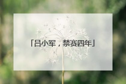 吕小军，禁赛四年