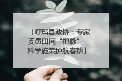 呼玛县政协：专家委员田间“把脉” 科学施策护航春耕