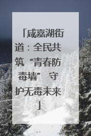 咸嘉湖街道：全民共筑“青春防毒墙” 守护无毒未来