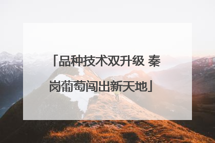 品种技术双升级 秦岗葡萄闯出新天地