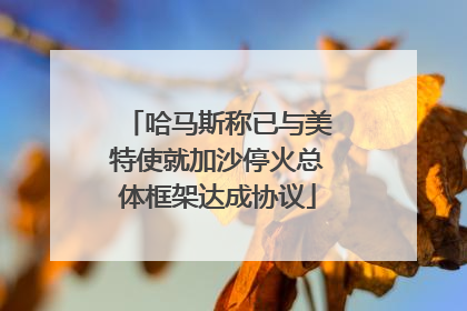 哈马斯称已与美特使就加沙停火总体框架达成协议