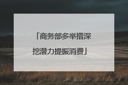 商务部多举措深挖潜力提振消费