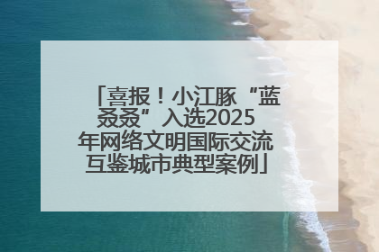 喜报！小江豚“蓝叒叒”入选2025年网络文明国际交流互鉴城市典型案例