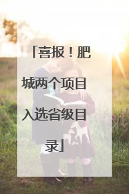 喜报！肥城两个项目入选省级目录
