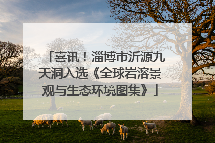 喜讯！淄博市沂源九天洞入选《全球岩溶景观与生态环境图集》