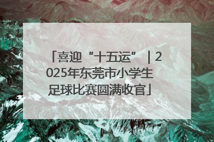 喜迎“十五运”｜2025年东莞市小学生足球比赛圆满收官