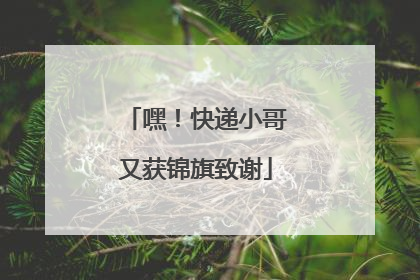嘿！快递小哥又获锦旗致谢