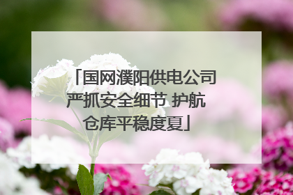 国网濮阳供电公司严抓安全细节 护航仓库平稳度夏