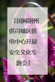 国网荆州供司城区供电中心开展安全文化专题会