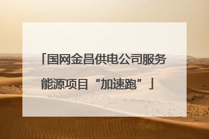 国网金昌供电公司服务能源项目“加速跑”
