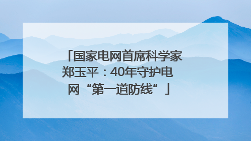 国家电网首席科学家郑玉平：40年守护电网“第一道防线”