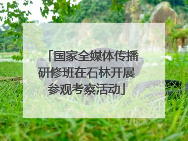 国家全媒体传播研修班在石林开展参观考察活动