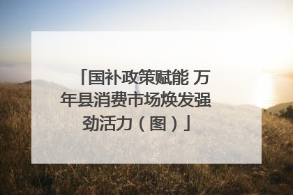 国补政策赋能 万年县消费市场焕发强劲活力（图）