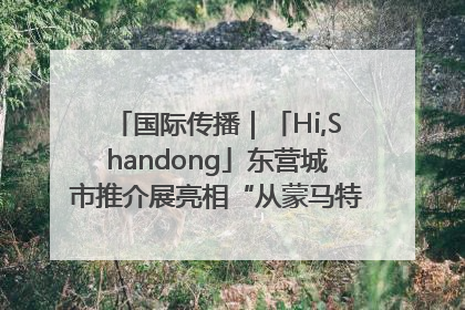 国际传播｜「Hi,Shandong」东营城市推介展亮相“从蒙马特到加里波第”文化节