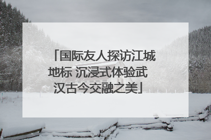 国际友人探访江城地标 沉浸式体验武汉古今交融之美