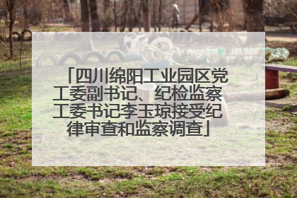 四川绵阳工业园区党工委副书记、纪检监察工委书记李玉琼接受纪律审查和监察调查