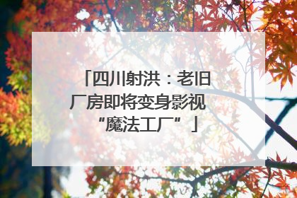 四川射洪：老旧厂房即将变身影视“魔法工厂”