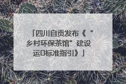 四川自贡发布《“乡村环保茶馆”建设运⾏标准指引》