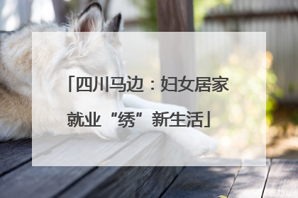 四川马边：妇女居家就业“绣”新生活