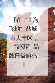 在“上海飞地”盐城市大丰区，“沪苏”品牌日益响亮