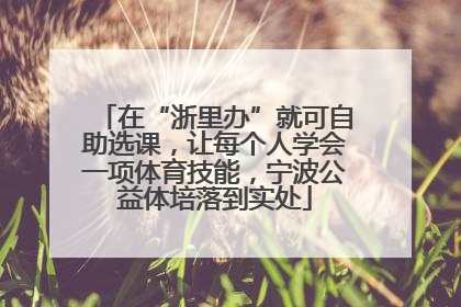 在“浙里办”就可自助选课，让每个人学会一项体育技能，宁波公益体培落到实处