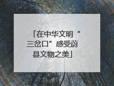 在中华文明“三岔口”感受蔚县文物之美