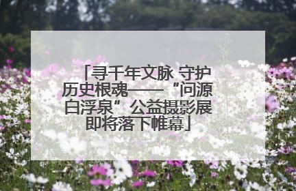 寻千年文脉 守护历史根魂——“问源白浮泉”公益摄影展即将落下帷幕