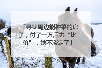 寻找周边能种菜的房子，付了一万后去“比价”，她不淡定了