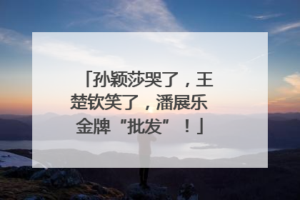 孙颖莎哭了，王楚钦笑了，潘展乐金牌“批发”！