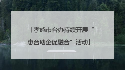 孝感市台办持续开展“惠台助企促融合”活动