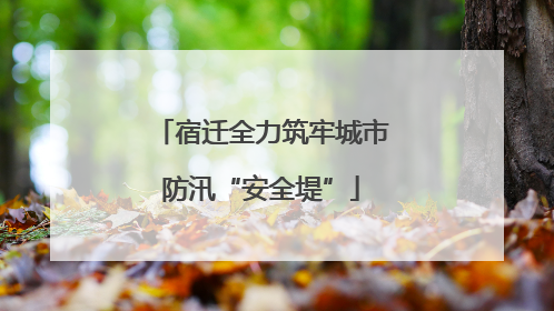 宿迁全力筑牢城市防汛“安全堤”