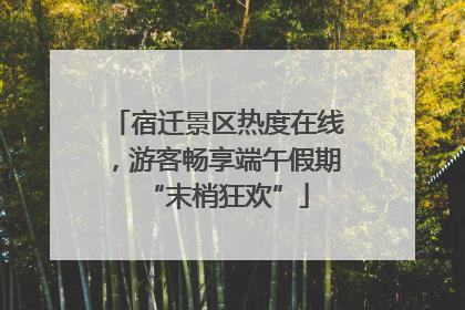 宿迁景区热度在线，游客畅享端午假期“末梢狂欢”
