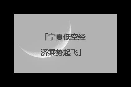宁夏低空经济乘势起飞