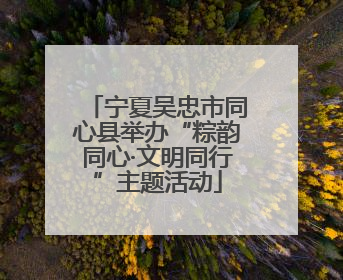 宁夏吴忠市同心县举办“粽韵同心·文明同行”主题活动