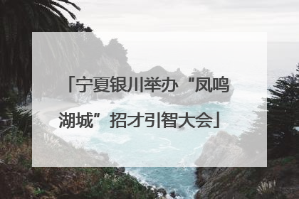 宁夏银川举办“凤鸣湖城”招才引智大会