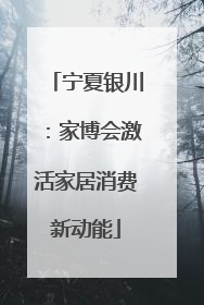 宁夏银川：家博会激活家居消费新动能