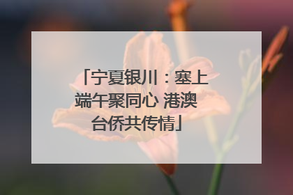 宁夏银川：塞上端午聚同心 港澳台侨共传情
