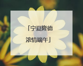 宁夏隆德 浓情端午