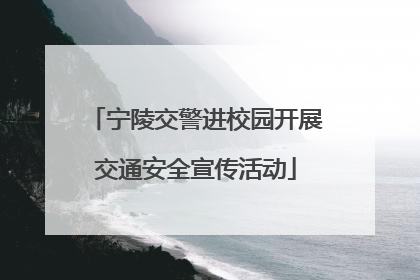 宁陵交警进校园开展交通安全宣传活动