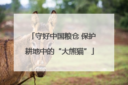 守好中国粮仓 保护耕地中的“大熊猫”