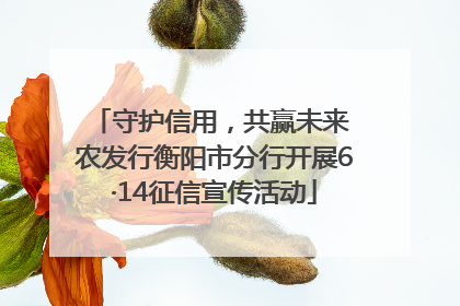 守护信用，共赢未来 农发行衡阳市分行开展6·14征信宣传活动
