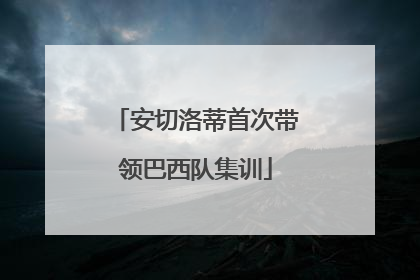 安切洛蒂首次带领巴西队集训