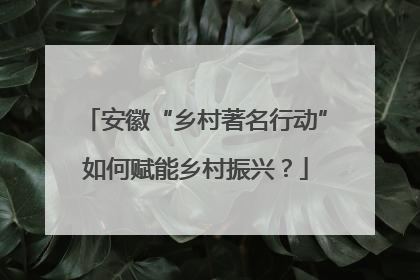 安徽“乡村著名行动”如何赋能乡村振兴？