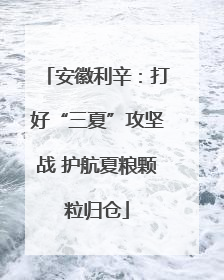 安徽利辛：打好“三夏”攻坚战 护航夏粮颗粒归仓