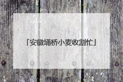 安徽埇桥小麦收割忙