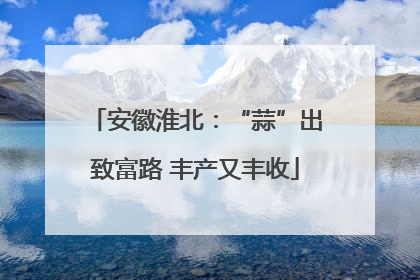 安徽淮北：“蒜”出致富路 丰产又丰收