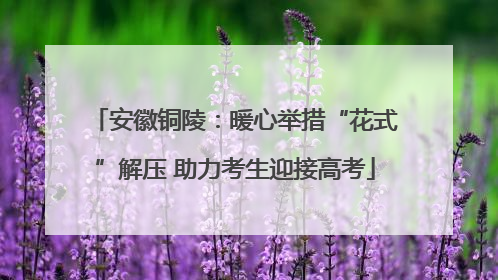 安徽铜陵：暖心举措“花式”解压 助力考生迎接高考