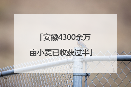 安徽4300余万亩小麦已收获过半