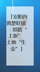 安阳内黄楚旺镇：思路“上新” 土地“生金”